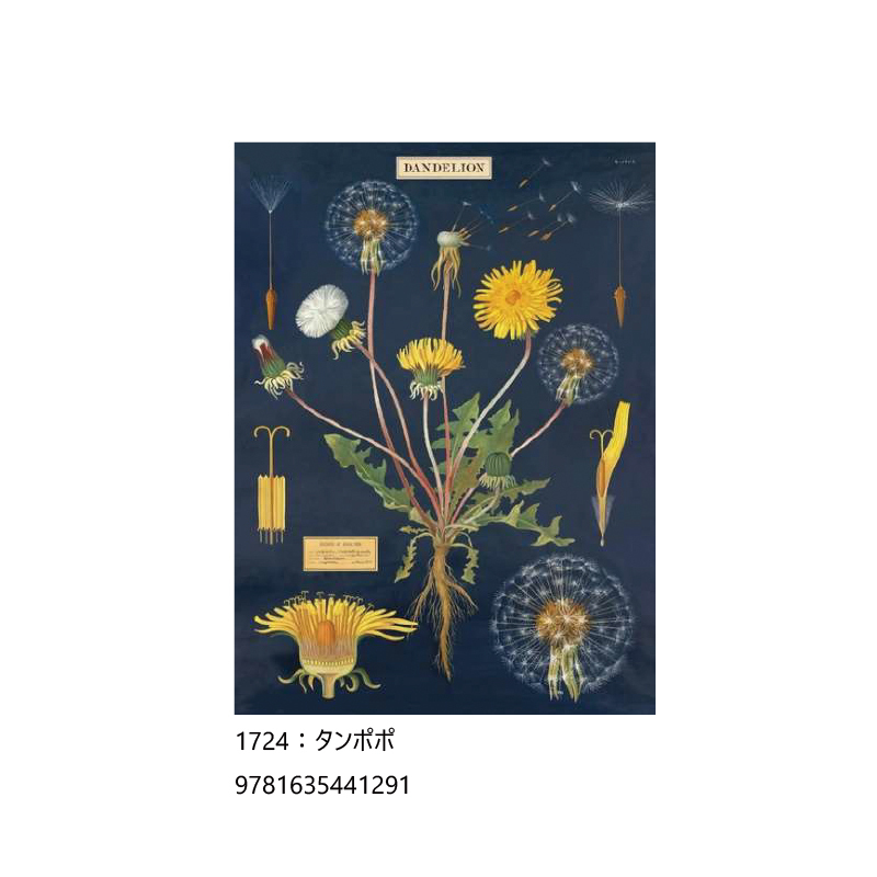 cavallini マスキングテープのおすすめ人気商品一覧 通販 - Yahoo