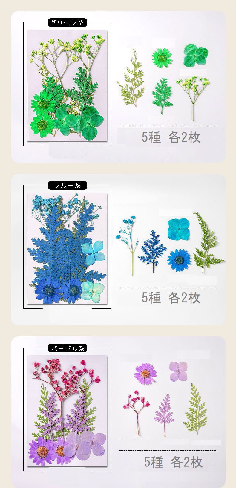 DIY素材　押し花10枚セット　