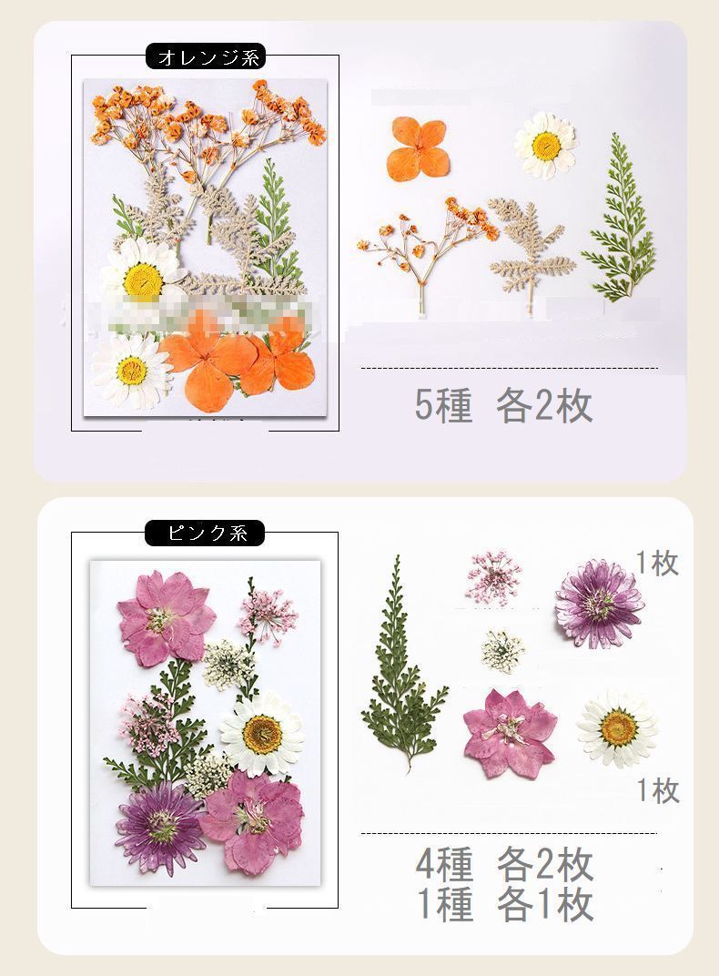 DIY素材　押し花10枚セット　