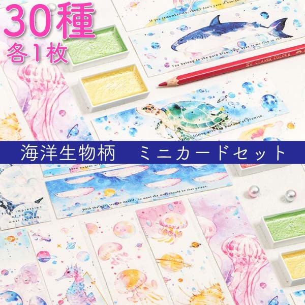 海洋生物海メッセージカード