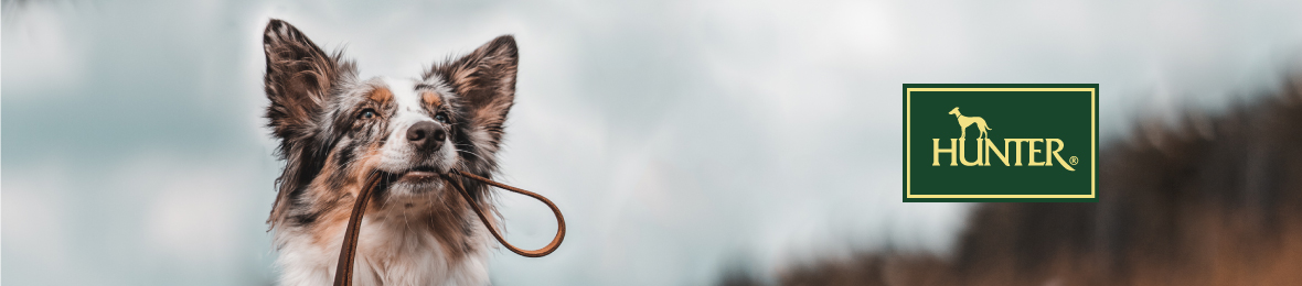 HUNTERYahoo!店 ヘッダー画像