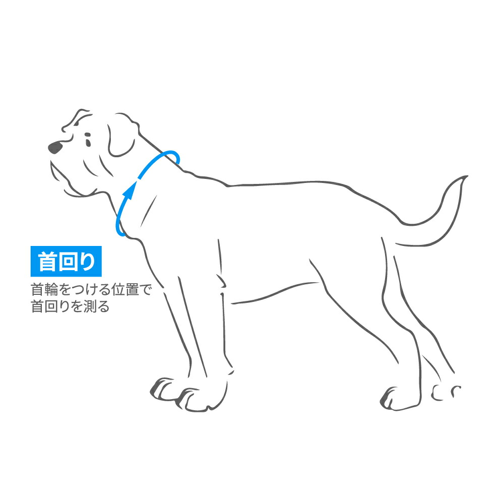 ハンター 犬用 首輪 ヒロ ヴァリオ ベーシック L-XL 中型犬 大型犬