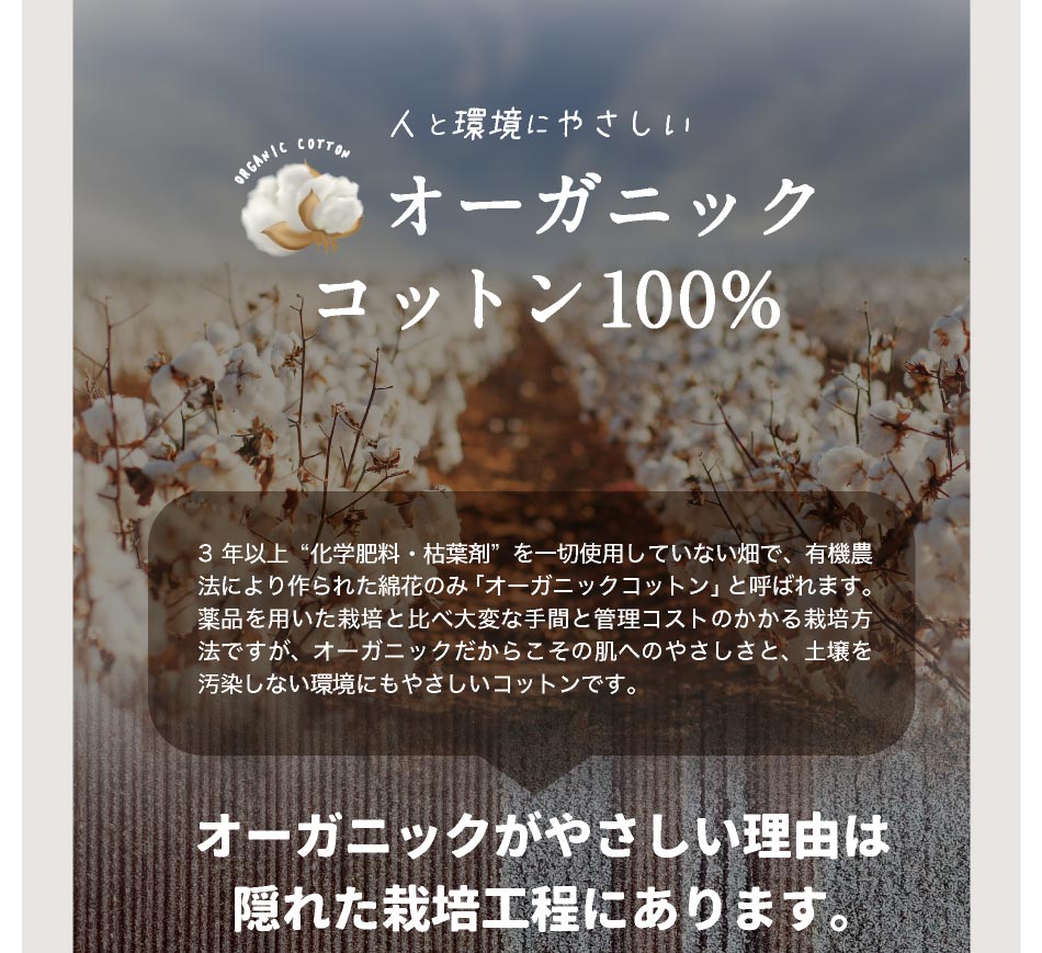敷きパッド オーガニックニット 敷きパッド 綿100% ニット&ガーゼ リバーシブル シングル表地 綿100% コットン パイル |  | 07