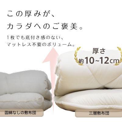 日本製 防ダニ抗菌 極厚三層敷布団 シングル ロング国産 敷き布団 極厚三層構造 シングル 清潔 抗菌 防臭 防ダニ ほこりが出にくい