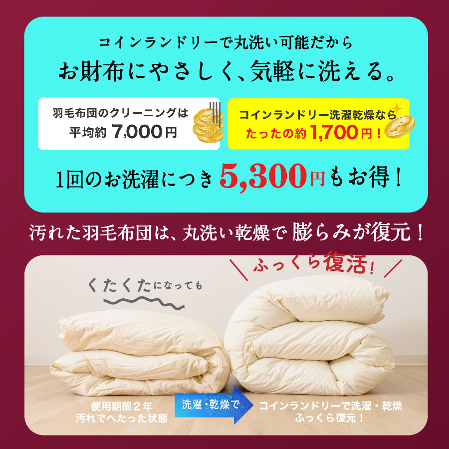 日本製 羽毛 羊毛布団 2点セット ホワイトダックダウン フランス産