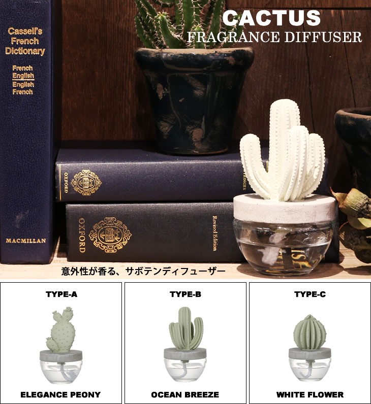 CACTUS FRAGRANCE DIFFUSER カクタス フレグランス ディフューザー 3種類 DULTON ダルトン サボテン 香り 芳香剤  :cfd0001:Hutte - 通販 - Yahoo!ショッピング