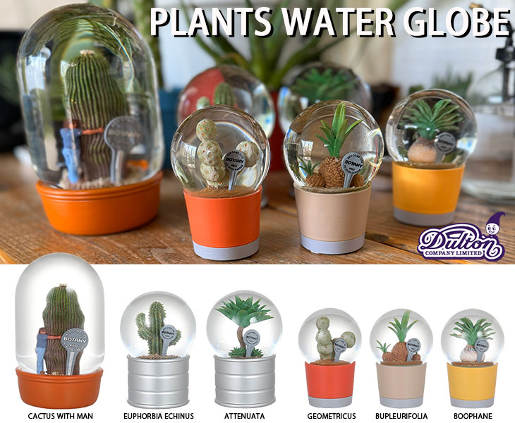 DULTON（ダルトン） PLANTS WATER GLOBE Sサイズ 3種類 プランツ