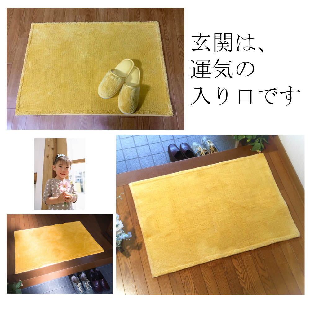 玄関マット 風水 天然素材 黄色 洗える おしゃれ 室内 東 西 南 北