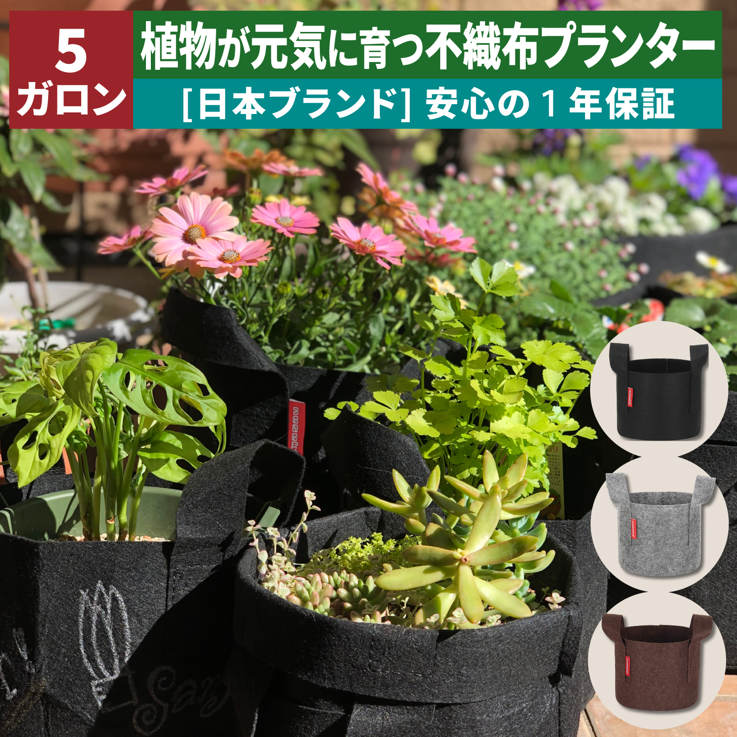 高級植物とプランター5個セット（ばら売り可能） ネセクト] 不織布プランター 5ガロン 10号鉢相当 根域制限 ベランダ
