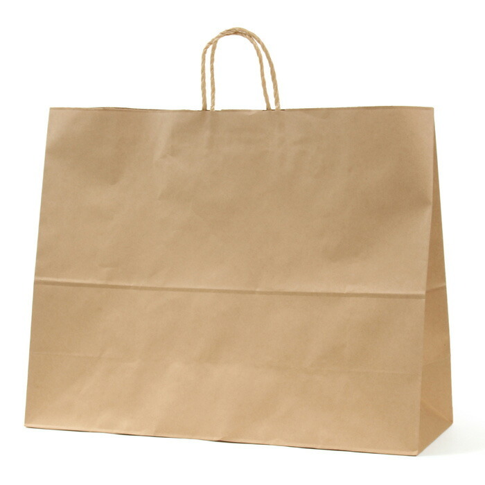 パックタケヤマ 1600円引きとポイント5倍 紙袋 HV160 未晒無地 100枚