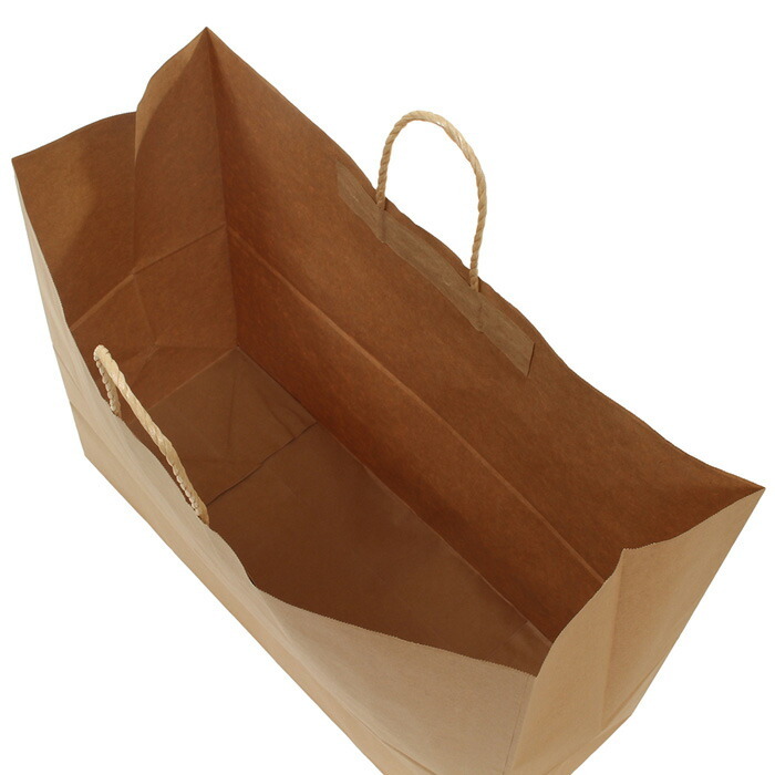 パックタケヤマ 1600円引きとポイント5倍 紙袋 HV160 未晒無地 100枚