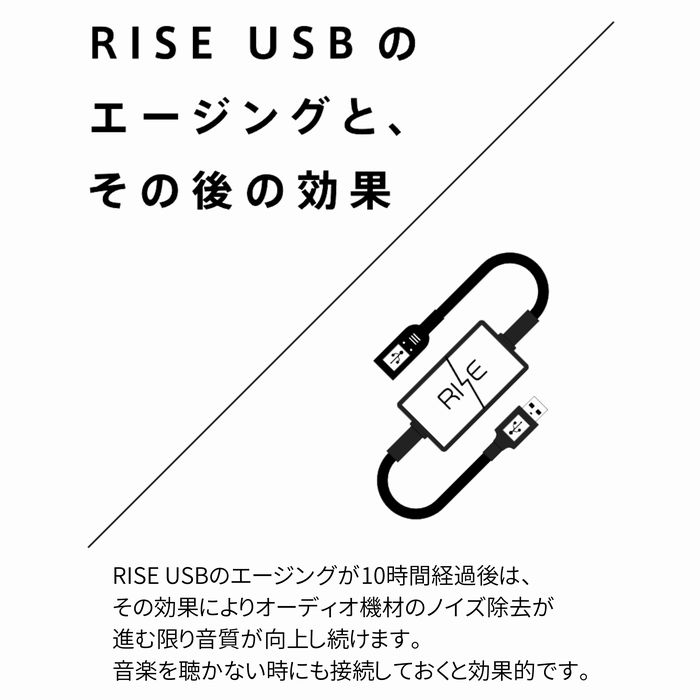 Third Technology RISE USB AA-01.1 USBノイズフィルター サード
