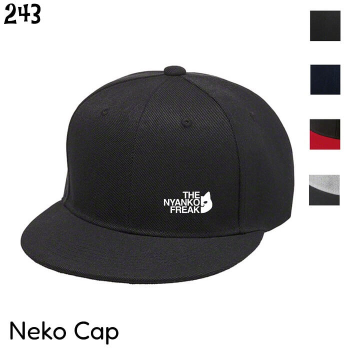 1ncp1.jpg