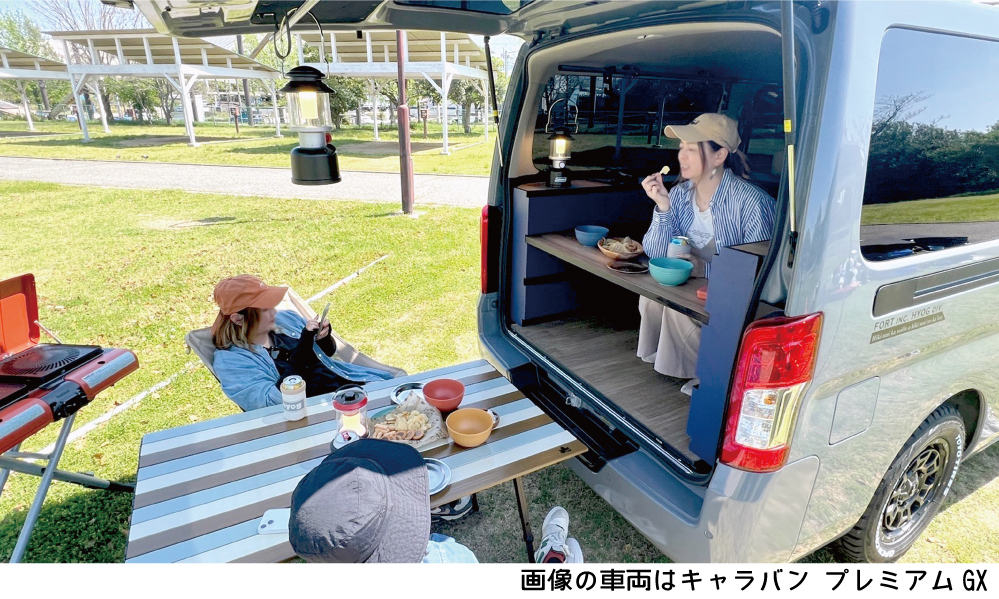 日産（NISSAN） キャラバン NV350 ベッドキット プレミアムGX用 LIT-B