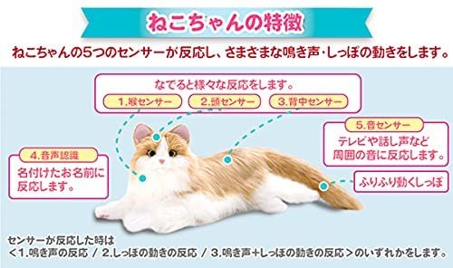 商品画像4