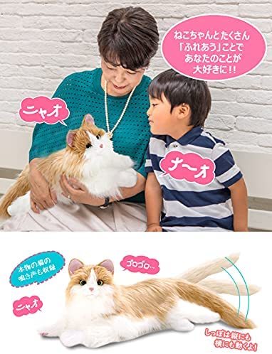 商品画像5