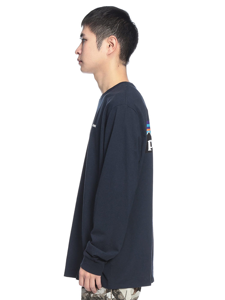 patagonia（パタゴニア） P-6ロゴ バックプリント クルーネック 長袖T
