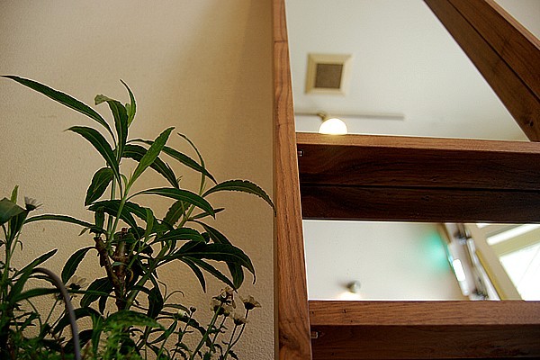 国産 無垢 天然木ミラー 鏡 全身 姿見 壁掛け ウォールミラー 170cm