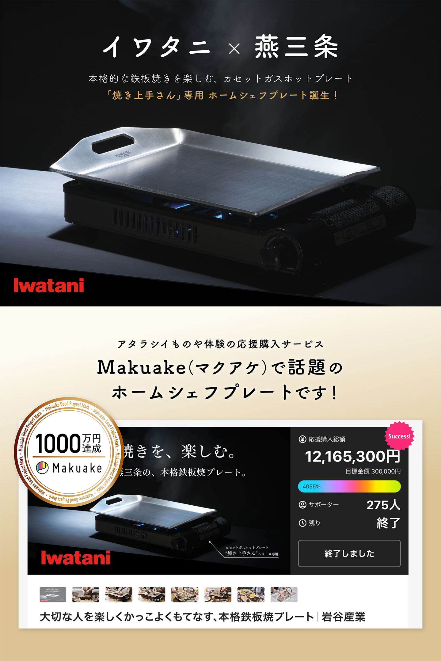Iwatani（イワタニ） 【公式】Iwatani 岩谷 カセットガスホット