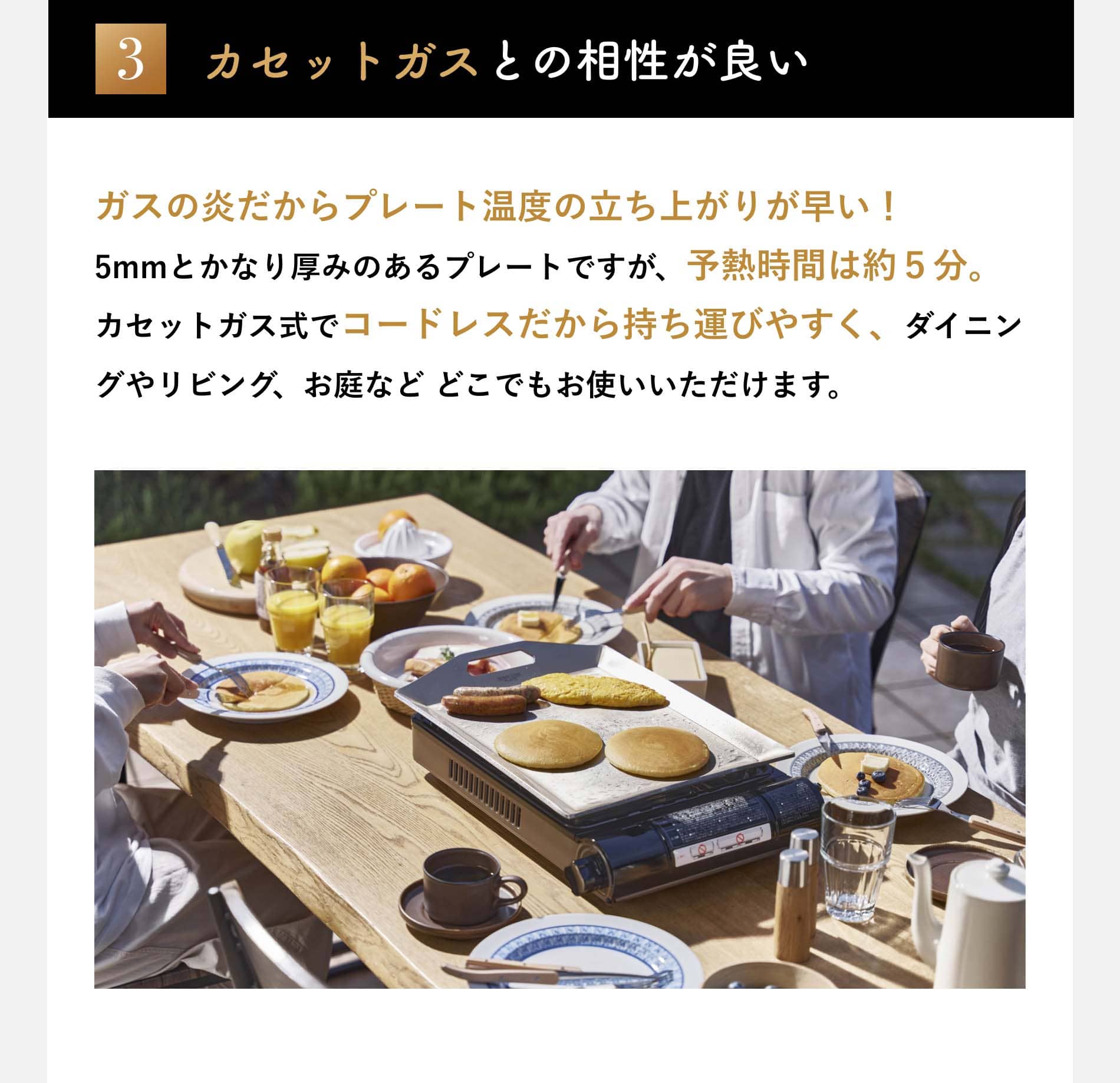Iwatani（イワタニ） 【公式】Iwatani 岩谷 カセットガスホット