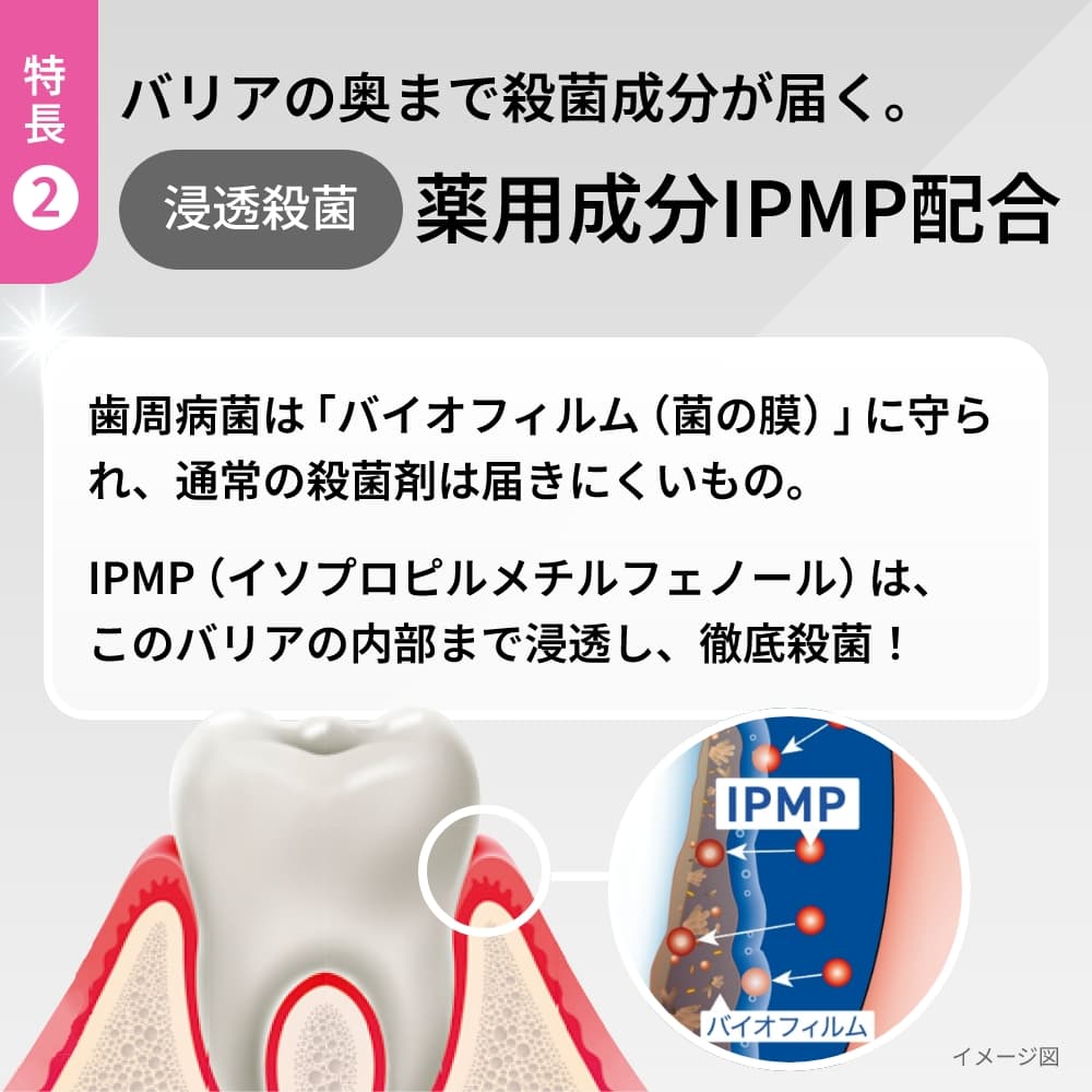 P-PRO