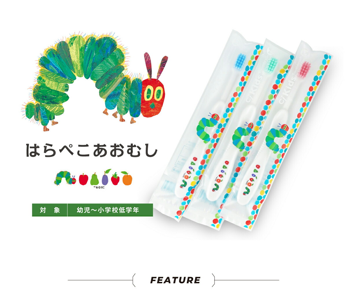 歯ブラシ Ci キッズ はらぺこあおむし M ふつう 30本 3,000円ポッキリ 子供用 メール便送料無料