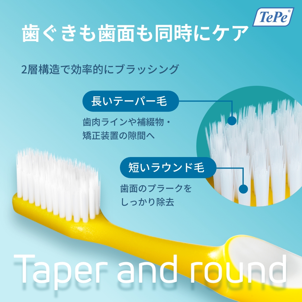 長いテーパー毛、短いラウンド毛