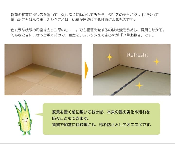 梅花 い草 ござ 国産 日本製 上敷き 和室 敷物 カーペット お手入れ簡単 夏 抗菌防臭 調湿 消臭 空気清浄 汚れにくい_2