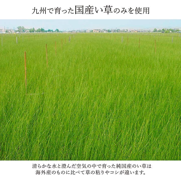 ランクス い草 い草ラグ カーペット 国産 日本製 モダン シンプル 和室 リビング お手入れ簡単 夏 抗菌防臭 調湿 消臭 空気清浄 汚れにくい_6