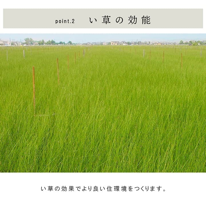 ネイラル 置き畳 ユニット畳 システム畳 ヘリなし畳 厚み3cm 9枚組 い草 国産 日本製 無地 防炎 和室 フローリング対応 軽量 滑り止め 消臭 抗菌防臭_3