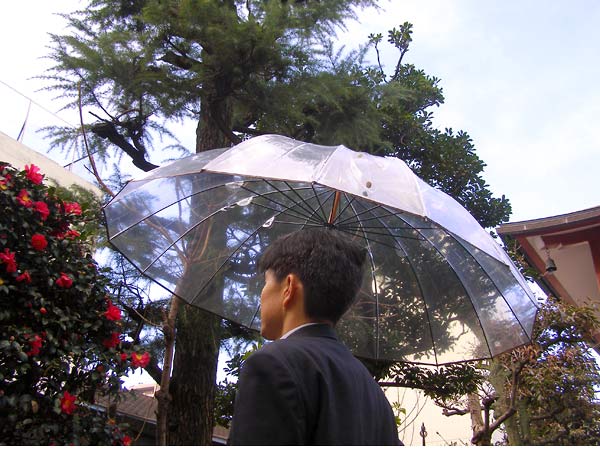 雨風の強い日などに活躍