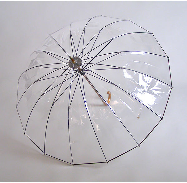 かてーる開いた画像