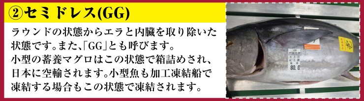 フィーレ ロイン説明 市場81 通販 Yahoo ショッピング