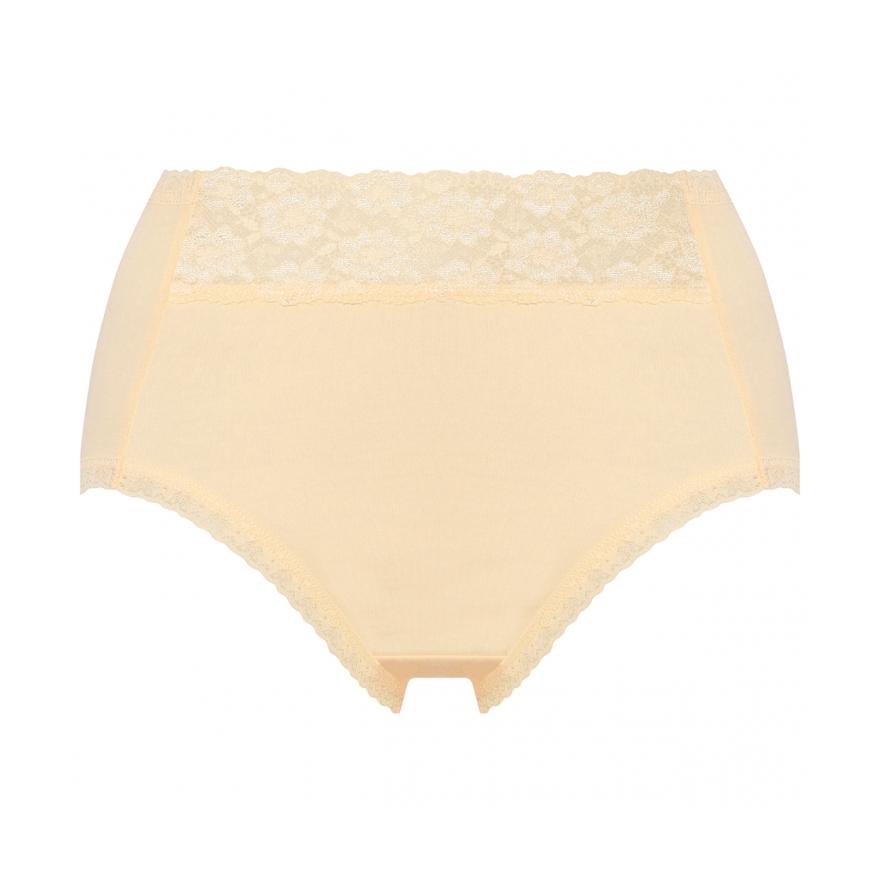 Triumph（トリンプ） ショーツ 10225562 Triumph ベストヒットショーツ