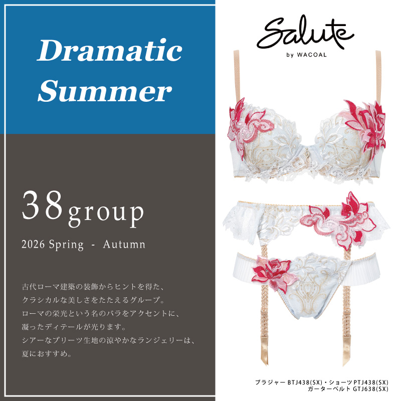 サルート（SALUTE） ワコール ブラジャー BTJ738 Wacoal salute 38