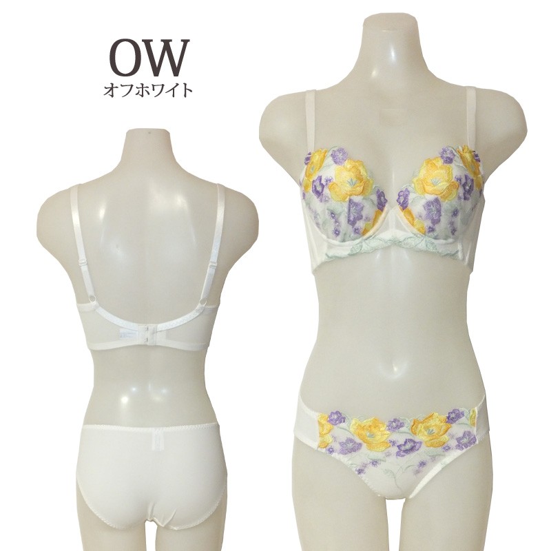 BON フルブルーム ローズレース 脇高ブラ ブラ＆ショーツセット [G・H