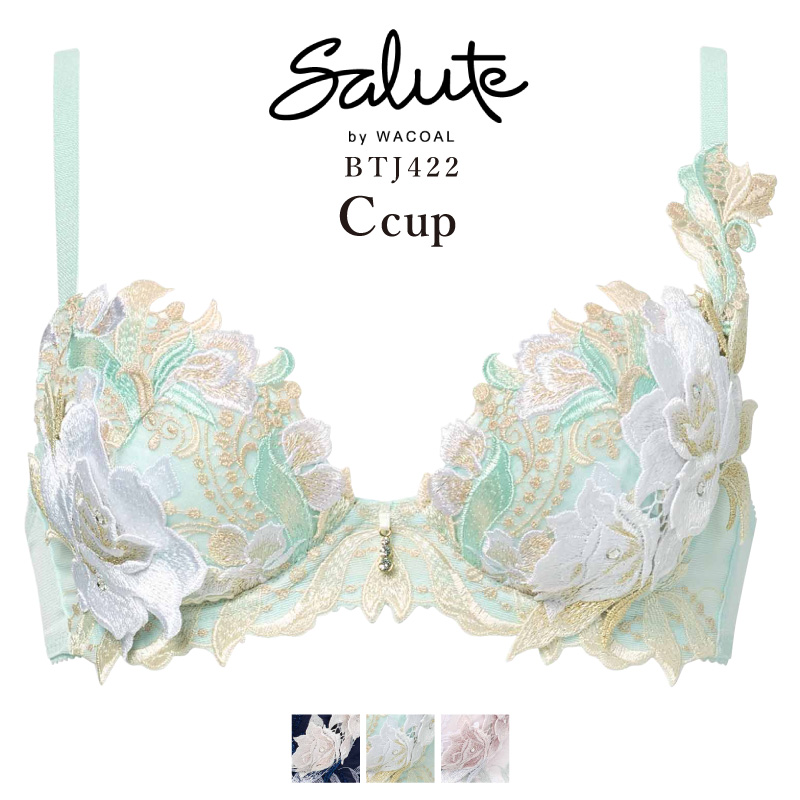 rzr3hm様Salute82G BTJ482 P-upE75　PTJ782L Amazon | ワコール Wacoal サルート Salute 23SS先行