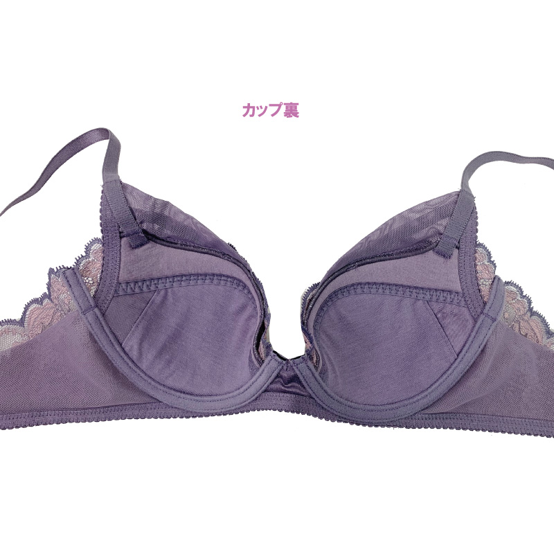 WACOAL（ワコール） BXD713 Wacoal プレミアム 13グループ 13G