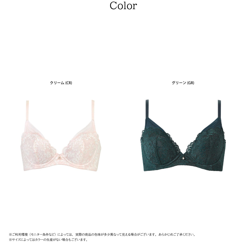 WACOAL（ワコール） BXD713 Wacoal プレミアム 13グループ 13G