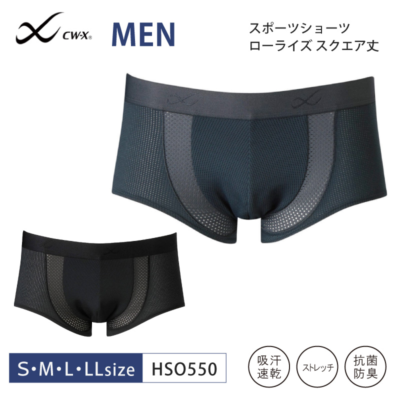 hso550_m1.jpg
