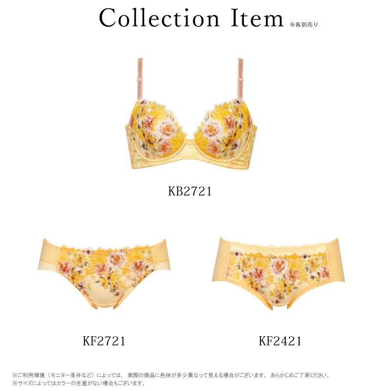 Wing ワコール ウイング ショーツ KF2321 Wacoal 後ろ姿きれいブラ