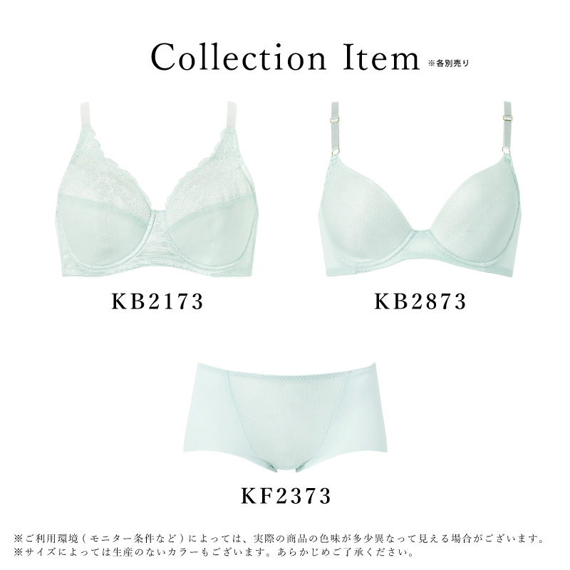 Wing ワコール ウイングブラジャー KB2873 Wacoal 夏のうすかる