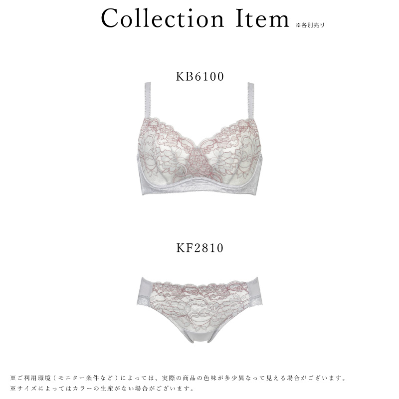 Wing ワコール ウイング KB6100 小さく見せるブラ Wacoal 3/4カップ