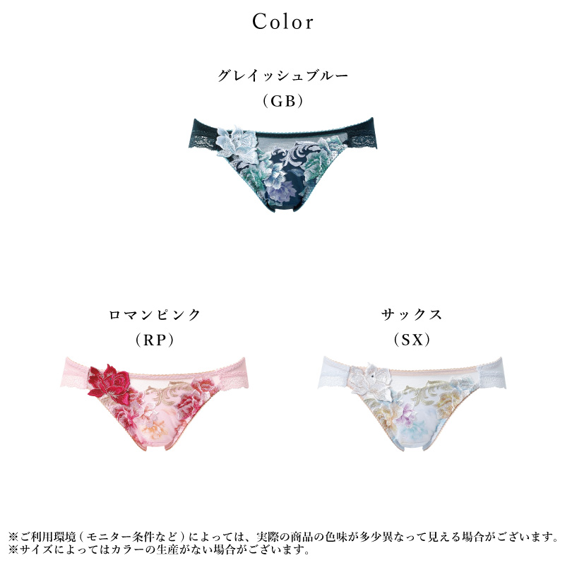 ★salute サルート上下2個セット　G70&Lサイズ　76G 56G サルート Salute ワコール Wacoal 00シリーズ スーパービキニ