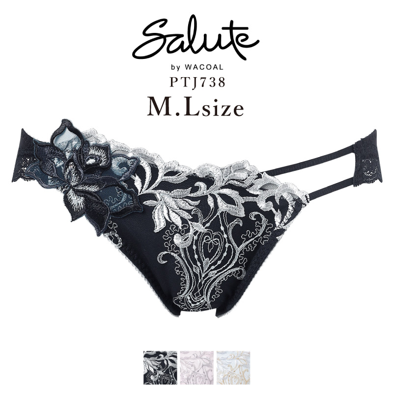 サルート（SALUTE） ワコール Wacoal salute 38グループ 38G BTJ438