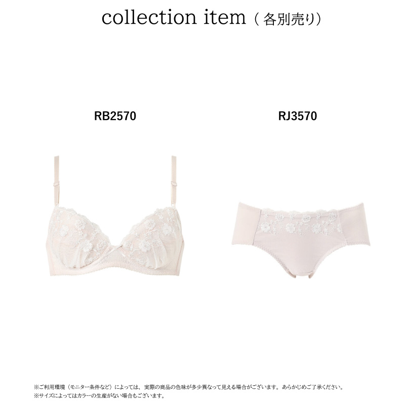 ワコール ウイング ティーン ショーツ RJ3570 Wacoal Wing Teen non!PKパンツ (M・Lサイズ)