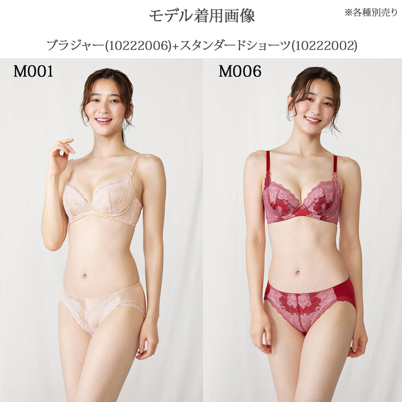 【専用】トリンプ　天使のブラ　ブラジャー②ショーツ③　E65　新品 脇高編レースリフトアップブラジャーショーツセット（2色レース