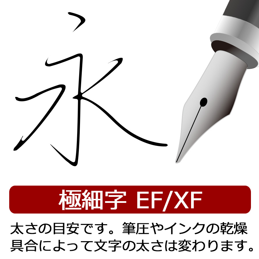 万年筆 ペリカン Pelikan スーベレーン M600 ブラック 即日