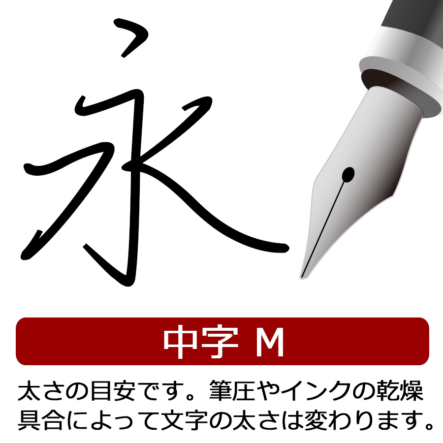 万年筆 カヴェコ KAEWCO STUDENT スチューデント スケルトン KAWECO