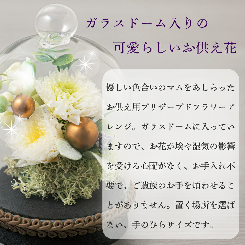 商品説明1